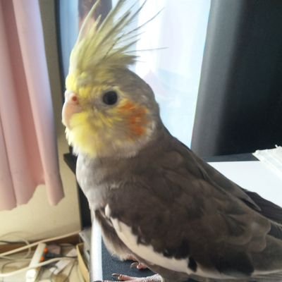 TDzsVPyFbxZLSGh's profile picture. はじめまして。さいたま市在住のLUNA SEAをこよなく愛するSLAVEです。またNO NAME?(INORAN大好き）
及びRKFでもあります。SLAVE、NO NEME？のお仲間を増やしたいです。お気軽にご連絡下さいませ。どうぞよろしくおねがいします。