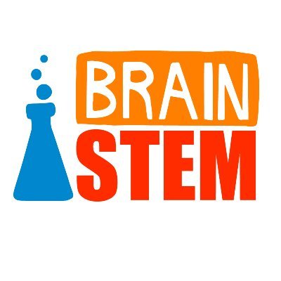 Brilliance, Resilience and Achievement in STEM (BRAIN STEM) pairs Culturally Relevant Pedagogy with Science, Technology, Engineering, and Mathematics.