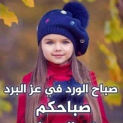 مهتم بكل العالم