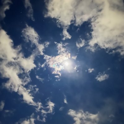 公式】ポケモン情報局 on Twitter: 公式】ポケモン情報局 on Twitter: