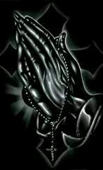 missboydcarol's profile picture. 