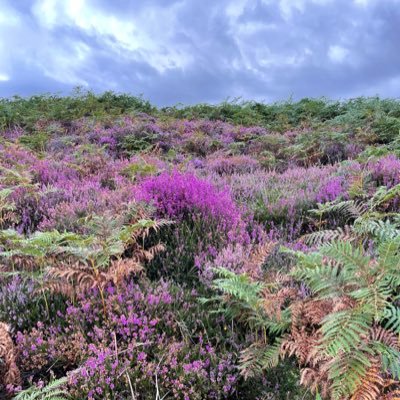 patricgsant's profile picture. 