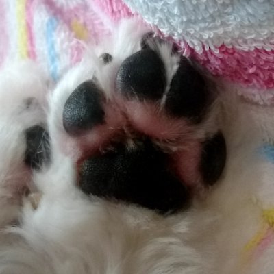 ryujan1's profile picture. 静かに暮らしたい＊懸賞好き＊