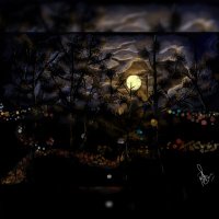 𝓐𝓴𝓪𝓷𝓴𝔀𝓪𝓼𝓪 (@a_callixte) 's Twitter Profile