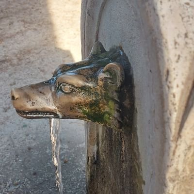 FabienneRiewer's profile picture. Responsable du comité Renaissance Sarreguemines Bitche Sarralbe,membre du Bureau Renaissance 57, colistière Régionales Grand Est La Force de nos Territoires.