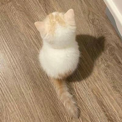 IvanLoveFruit's profile picture. The sky is clear and blue, the sunlight dazzling