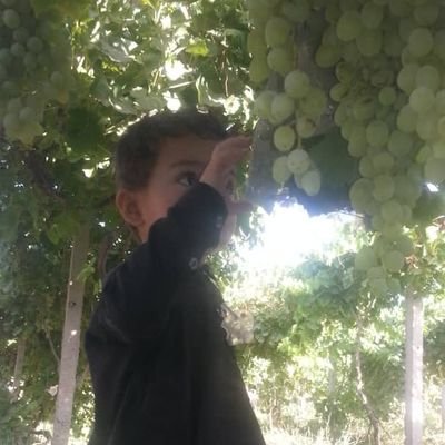 SalihMo02019245's profile picture. 