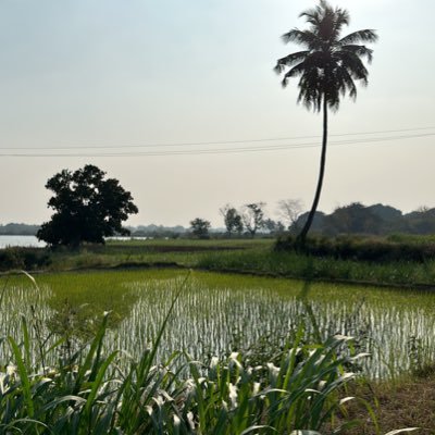 SureshNaiduKota's profile picture. 