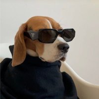ããããð¯æ°ãŽãŒã«ãEAéçºè
(@rcarrete) 's Twitter Profile Photo ããããð¯æ°ãŽãŒã«ãEAéçºè
(@rcarrete) 's Twitter Profile Photo