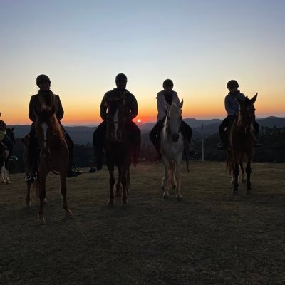 brasilblind's profile picture. 