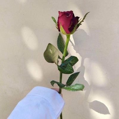 aEgGzYtcZRcKvxO's profile picture. ในจักรวาลข้างๆกัน💫🤍
(ฉันจะอยู่ทุกด้อม)