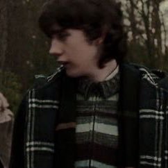 wirdocrawler's profile picture. 