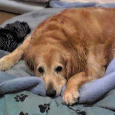 YZMKekxpZSi10cb's profile picture. 