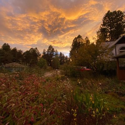 Associate professor @NAU. geneticist and mycologist. #valleyfever obsessed. views are my own. personal account.