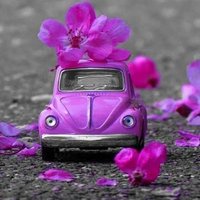 ÇİTLEMBİK🌂 (@ufacik_34) 's Twitter Profile