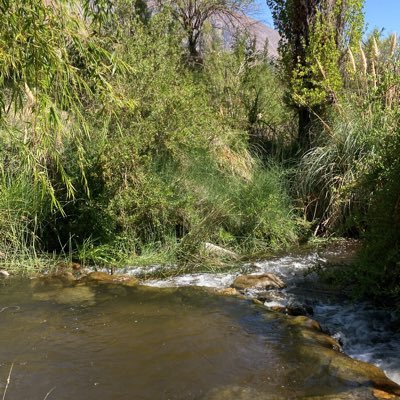 patipelá, mujer, compañera de Mauro y madre de 3 mujeres. Pediatra, docente https://t.co/gV8TF1gkAo. U Chile. Inquieta y luchadora #OtroChileEsPosible