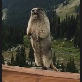 deadlight_Z_'s profile picture. I really want two things. 1) - pizza 2) - pizza for 10 thousand BTC