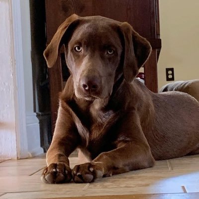 Piper2227's profile picture. 