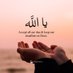 Riaz Sheikh (@riaz50) Twitter profile photo Riaz Sheikh (@riaz50) Twitter profile photo