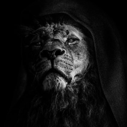 MoKings4's profile picture. -Jesus Christ is my Lord and Savior.                                          • Disciple of the Living Word of God