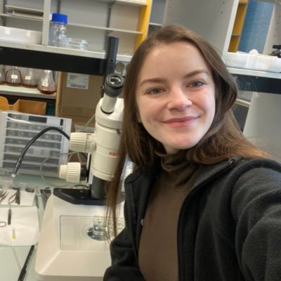 Claire_Richard_'s profile picture. PhD candidate _ Tora/Vincent Lab _ IGBMC