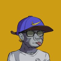 Algorillas.algo(@algorillas) 's Twitter Profile Photo