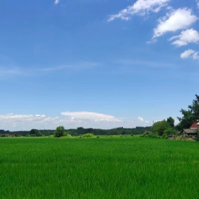 psmaxwell2's profile picture. 