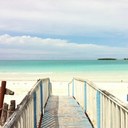 emma knowles - @emmalknowles - Twitter