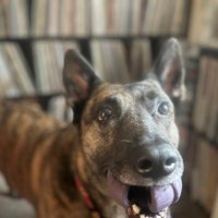 DJelvis (@jhuntercomedy) 's Twitter Profile Photo DJelvis (@jhuntercomedy) 's Twitter Profile Photo