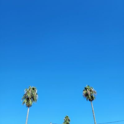 BiJZOsECpigyltE's profile picture. 