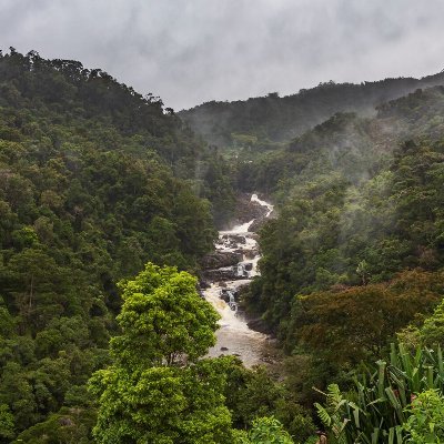 If ever I had a religion, it would be the most natural path to take...nature itself.