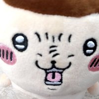 ふわ (@qwr106na9a0q3db) 's Twitter Profile