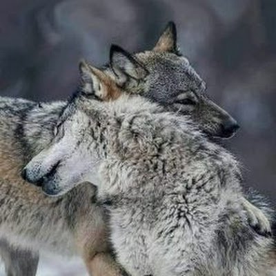 EvinQuiterio's profile picture. 