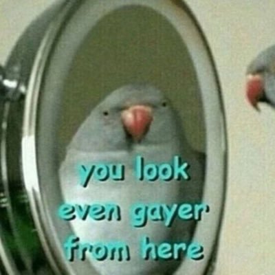 TheXAssassin_'s profile picture. •🇬🇾 || A♥️