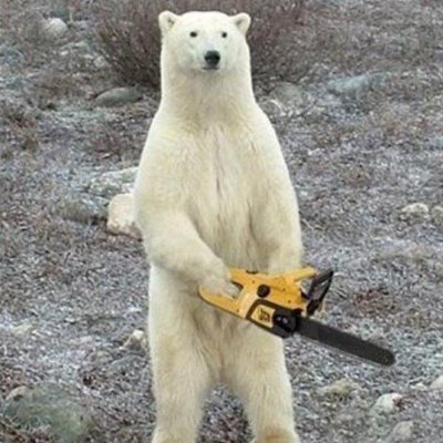 snowytrade's profile picture. Unfiltered market commentator and a proud bear. Not investing advice.