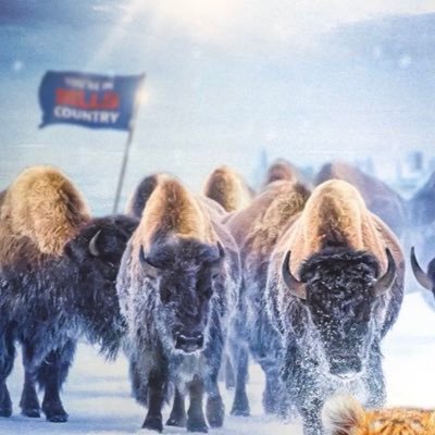 Daking_12's profile picture. 