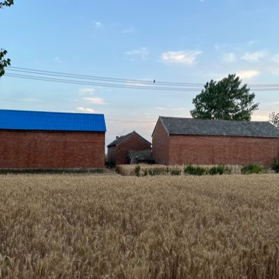 peach4019's profile picture. 向前看