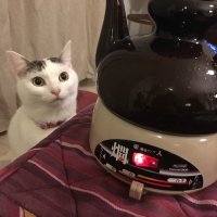 130 @ポピュリズムには騙されない (@92asa4s0uj5z4ho) 's Twitter Profile Photo