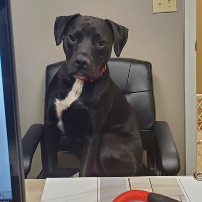 Dirtrx27's profile picture. 