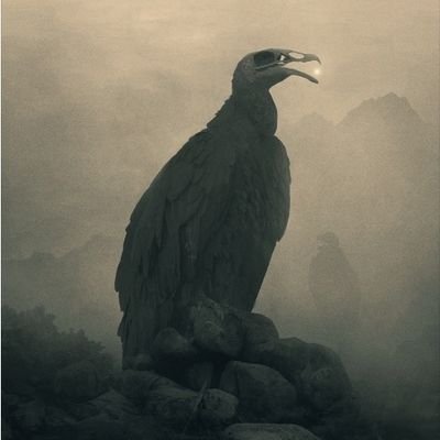 reaping_crowさんのプロフィール画像