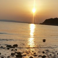 いち (@barasimaster) 's Twitter Profile