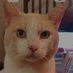 Guis Eric (@guis_eric) Twitter profile photo Guis Eric (@guis_eric) Twitter profile photo