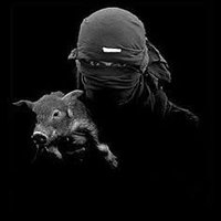 kaos ölmedi güneşleniyor (@anarco666) 's Twitter Profile