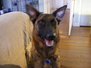 anotherjimh's profile picture. Diagnosed Extroverted Introvert - so I'm really nice about saying nothing about myself...