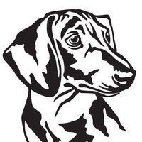 Dachshund_Lover(@DachshundLife90) 's Twitter Profile Photo