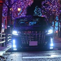 ヤンちゃん (@awrfaeaogxidjac) Twitter profile photo