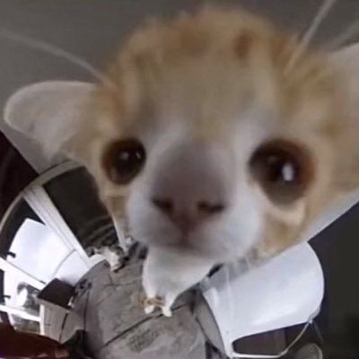 1610kKo's profile picture. 