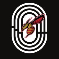 Salisbury High Track & Field (@shshornetstrack) 's Twitter Profile