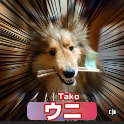 ゆりかもめ＠裸族