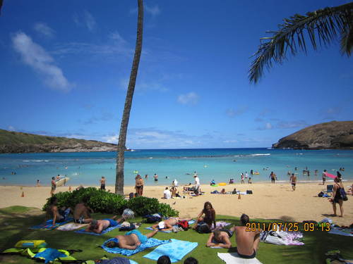 noeriu's profile picture. My Pride, Japan. I love my wife, 5 children and Japan.🇯🇵